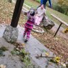 SAV_2023_1521